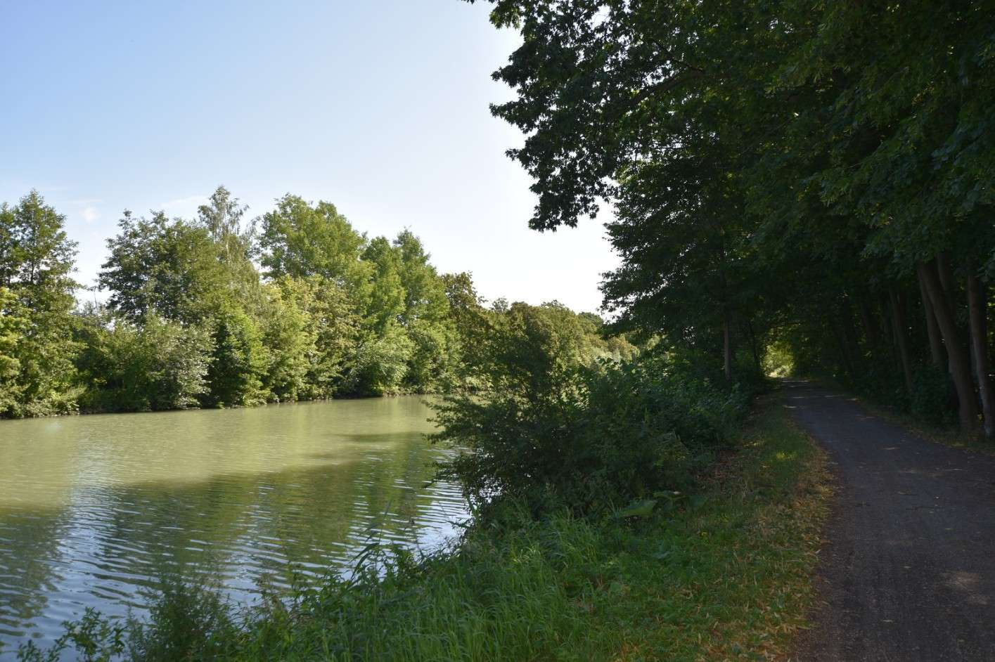 gruene-oase-in-unmittelbarer-wassernaehe